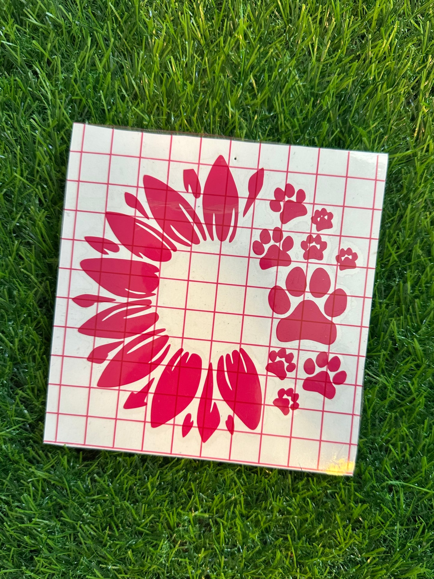 Pawprint Sunflower 5"