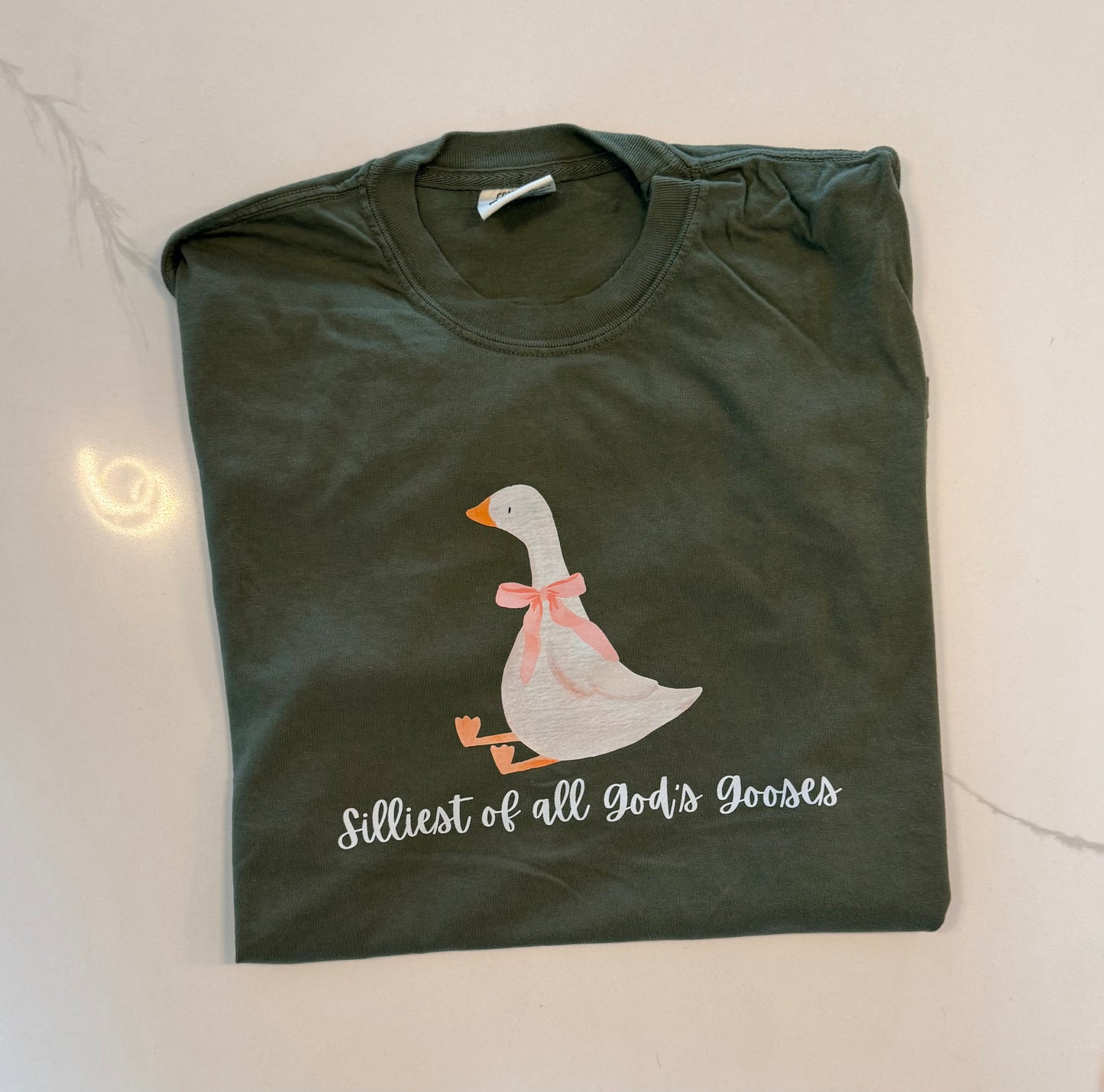 Silliest of all gods gooses Tee (Comfort Colors)