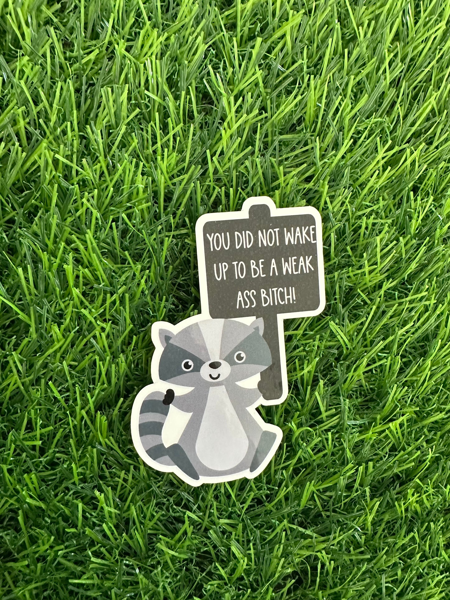 Racoon with sign (3")