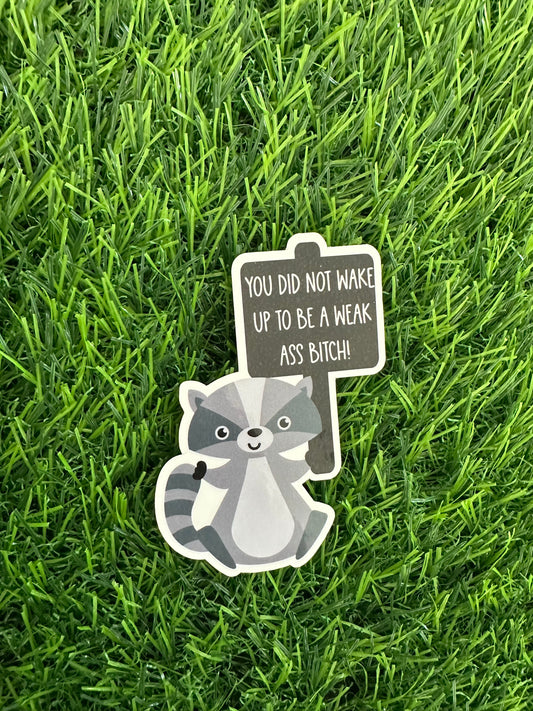 Racoon with sign (3")