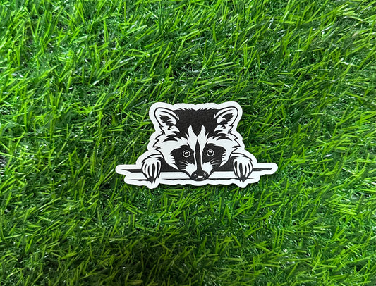 Peeking raccoon (3")