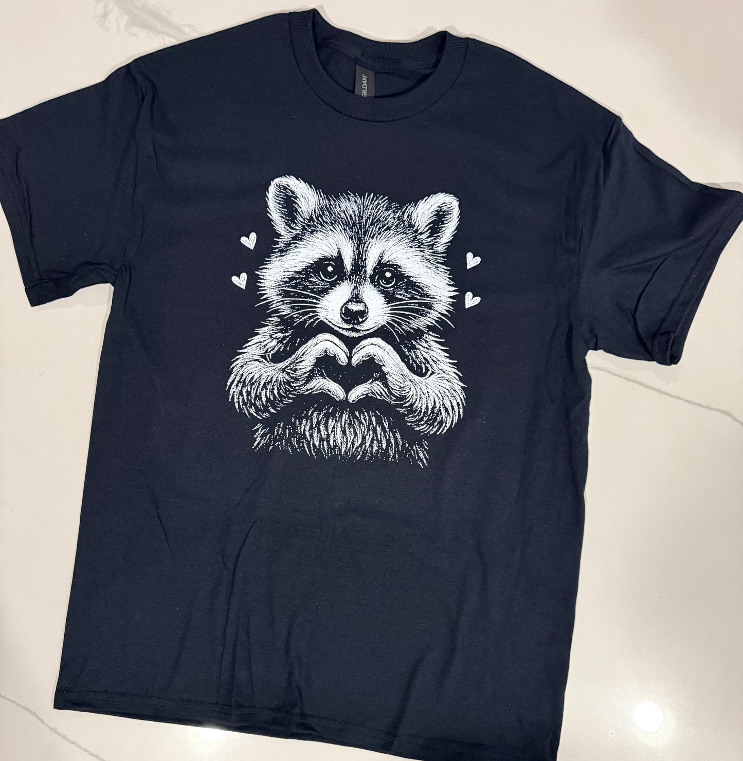 Cute Raccoon