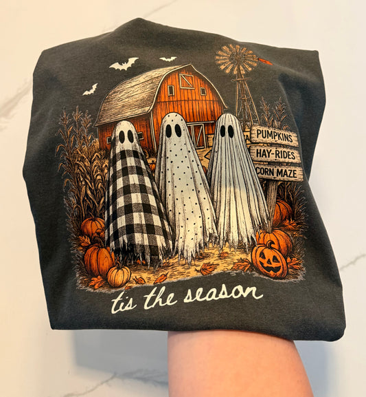 Barn Ghost Tee (Comfort Colors)