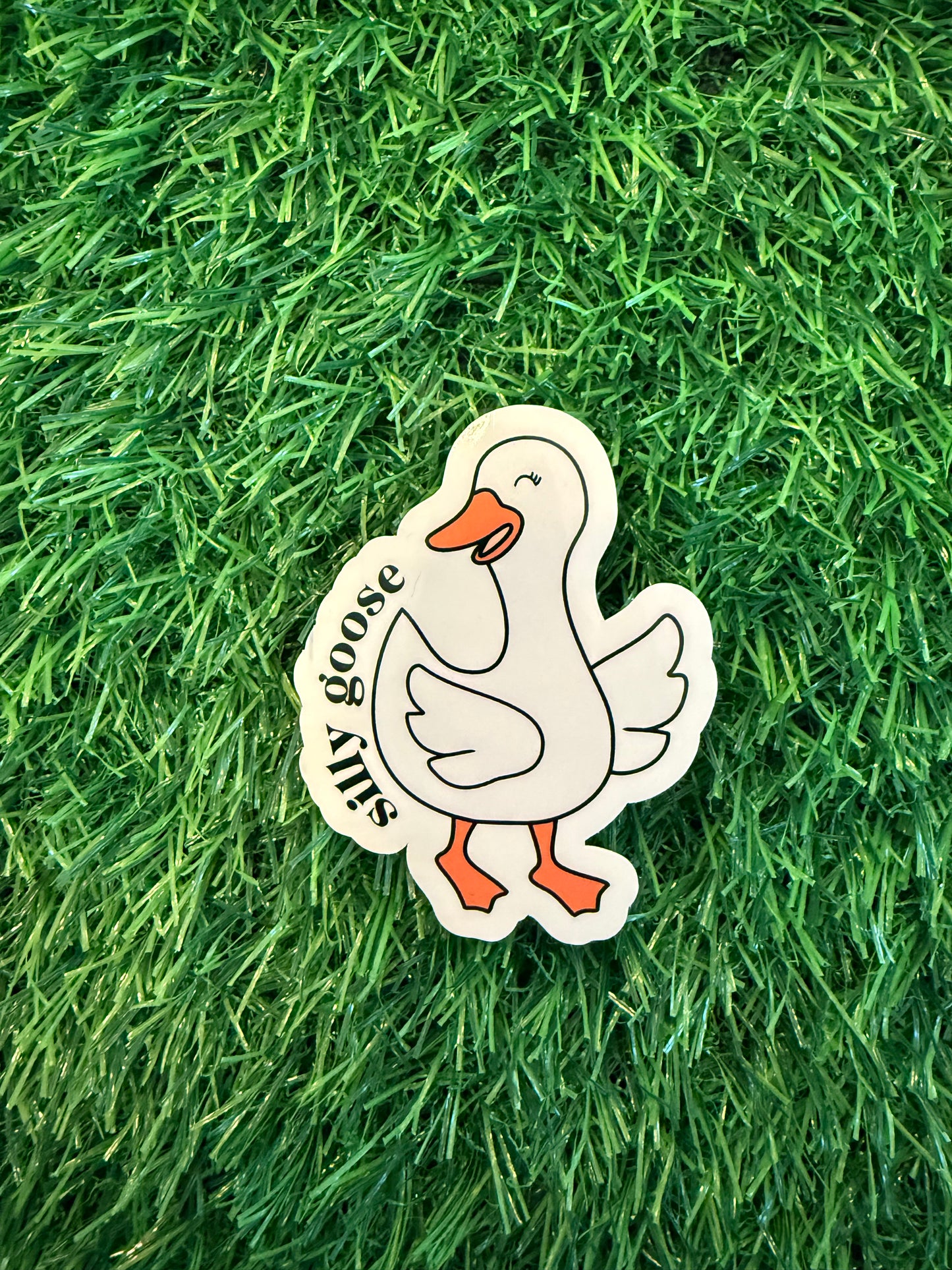 Silly Goose